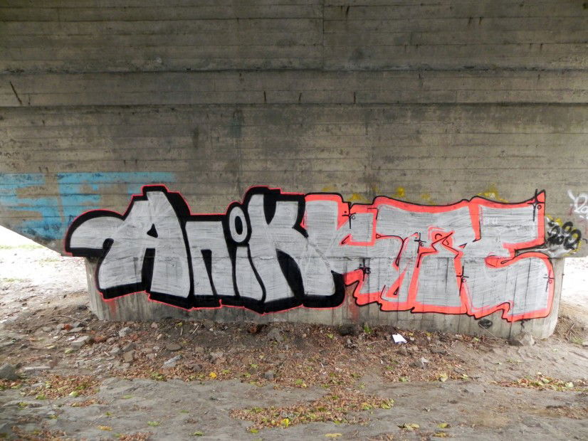 Graffiti Bombing in Vinnitsa - Photo by Apo_Ukraine - apo, apik