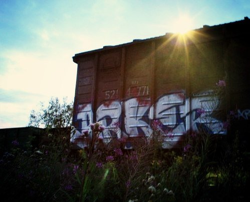 Graffiti Train - Photo by Arker - arker (2012)