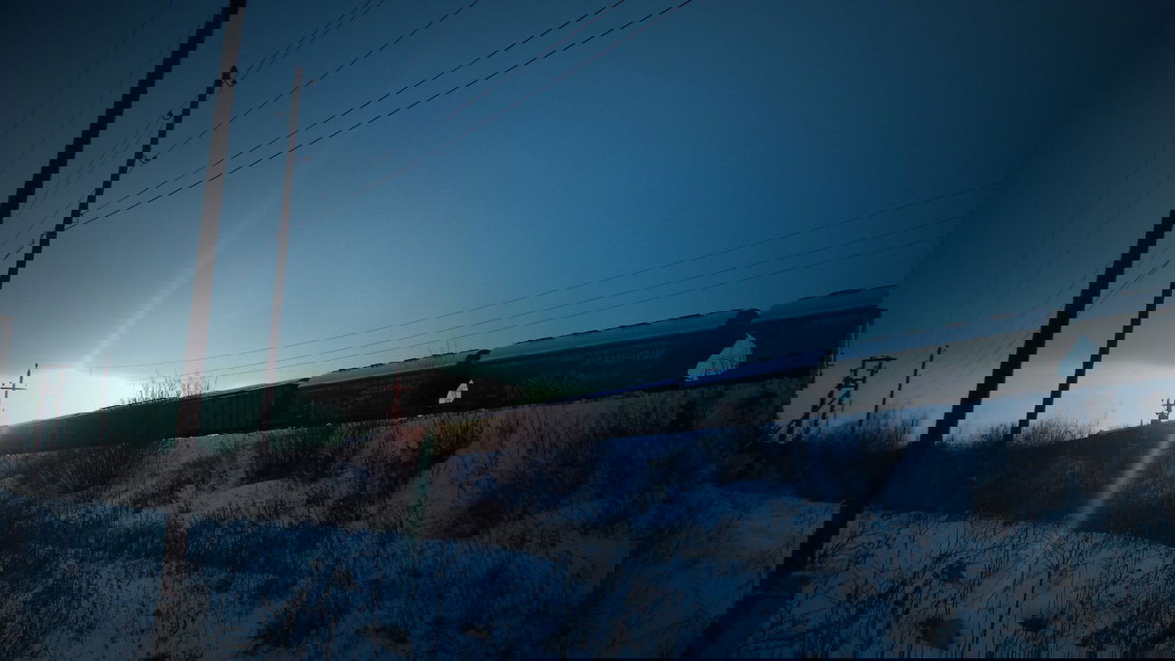 Graffiti Street Art in Yekaterinburg - Photo by Arker - wolf (2014)