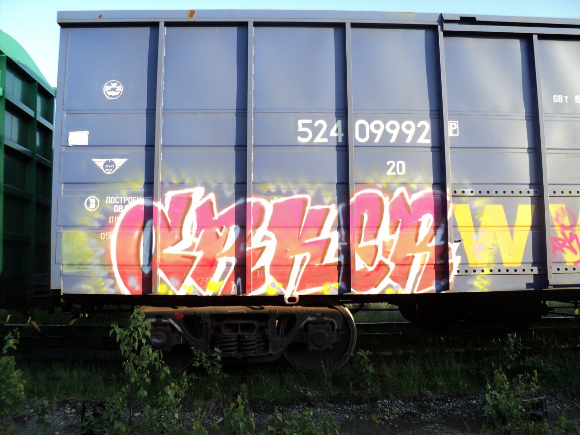 Graffiti Train - Photo by Arker - arker (2012)