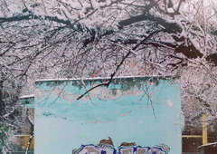 Photo #158682 by JemandAnders