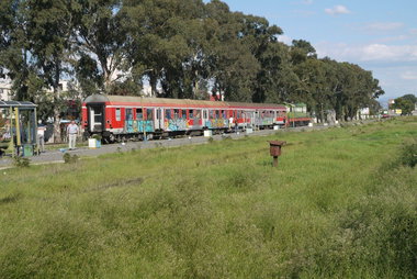 Graffiti Train - Photo by Arschloch - Alibanshkoz