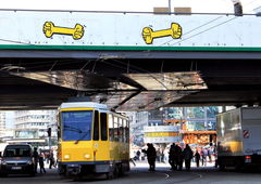 Photo #80903 by tostkopf