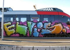 Photo #82346 by Belt