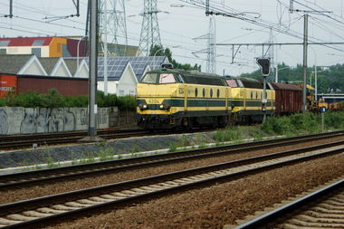 Graffiti Bombing - Photo by Arschloch