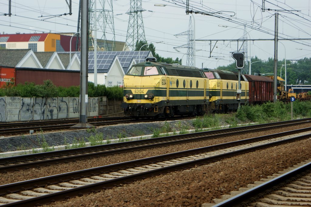 Graffiti Bombing - Photo by Arschloch