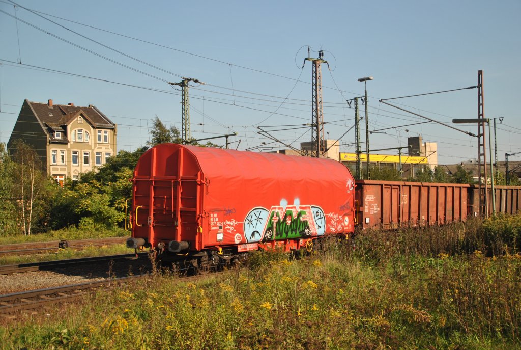 Graffiti Train - Photo by Arschloch