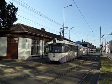 Graffiti Train - Photo by Arschloch - boar