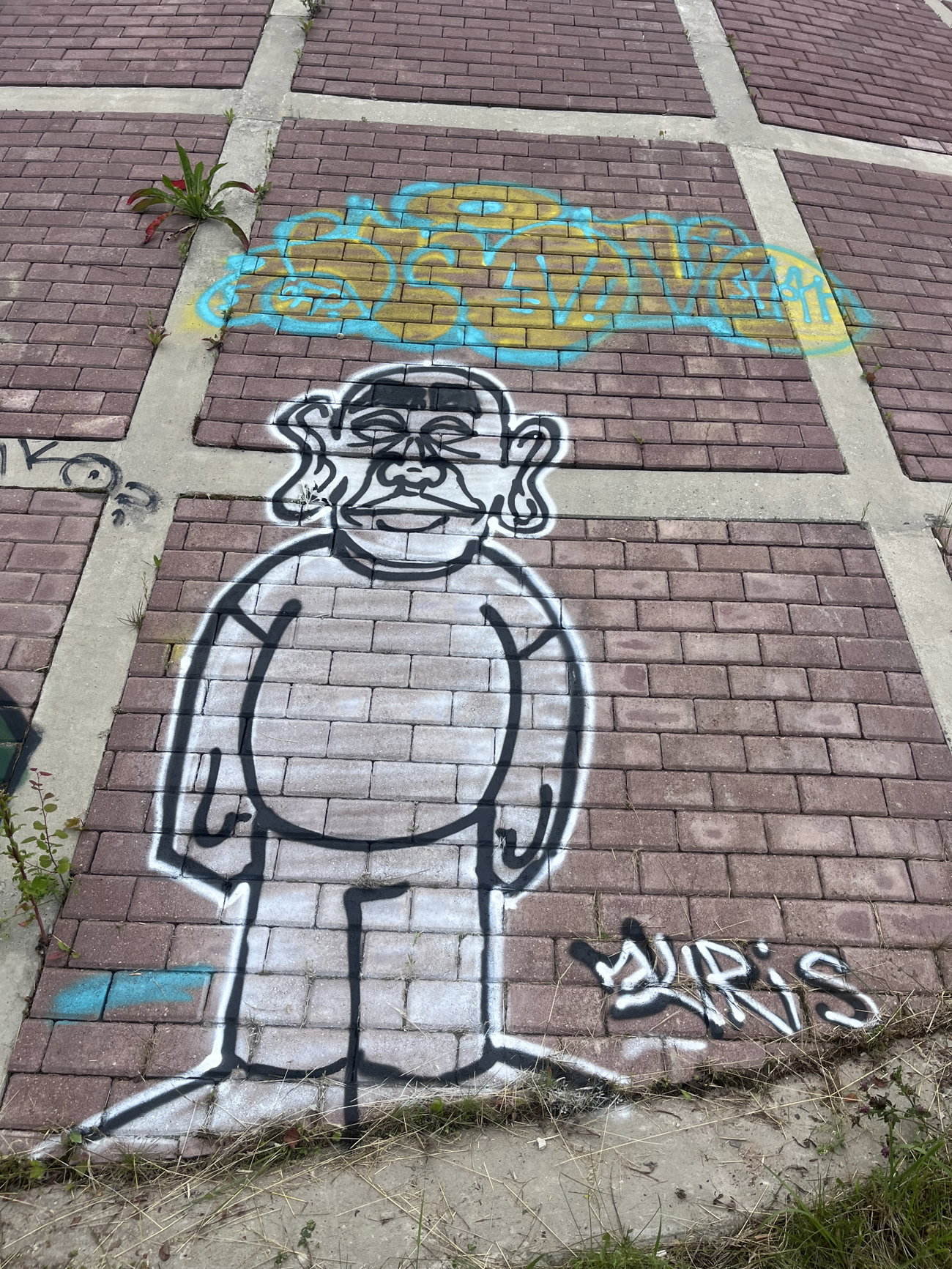 Graffiti Bombing in Sigulda - Photo by ArtOfCrime