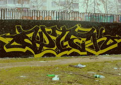 Photo #85478 by tgngrown