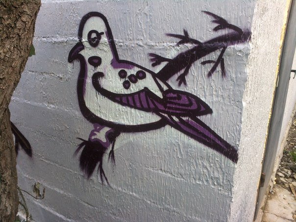 Graffiti Wall - Photo by Artemio - ??????? (2013)