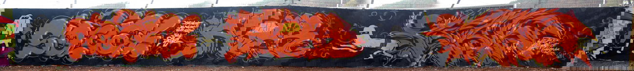 Graffiti Wall in Homburg - Photo by Aser - dga, aser, soldat (2013)