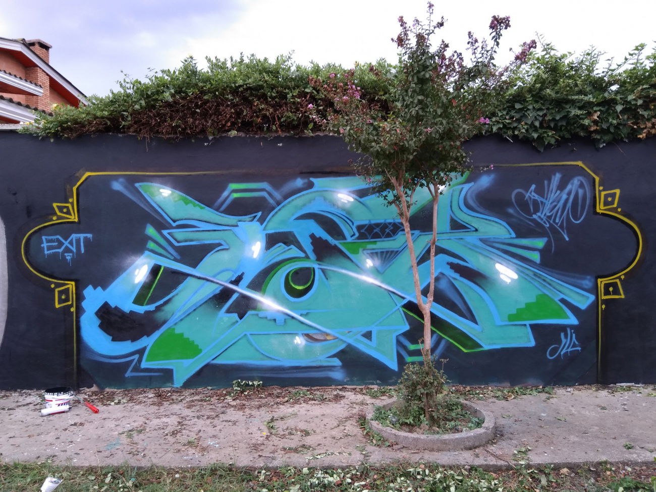 Graffiti Wall - Photo by AshkarGraffiti - ashkargraffiti, persianletters, exitcrew