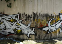 Photo #227819 by koal