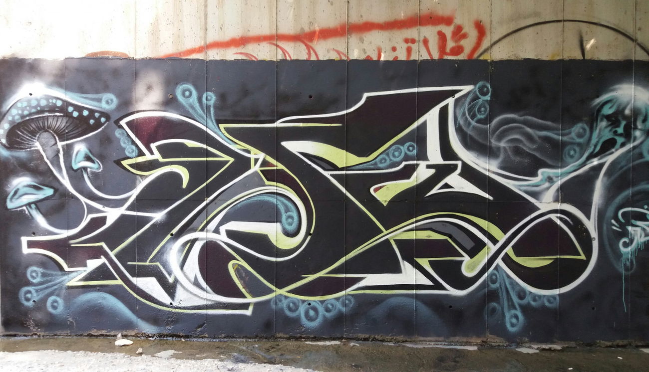 Graffiti Wall - Photo by AshkarGraffiti - ashkargraffiti, persianletters, exitcrew