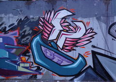 Photo #181167 by Belt