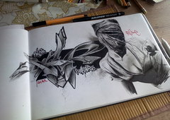 Photo #176907 by TheWallHunter