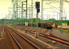 Photo #13423 by Belt