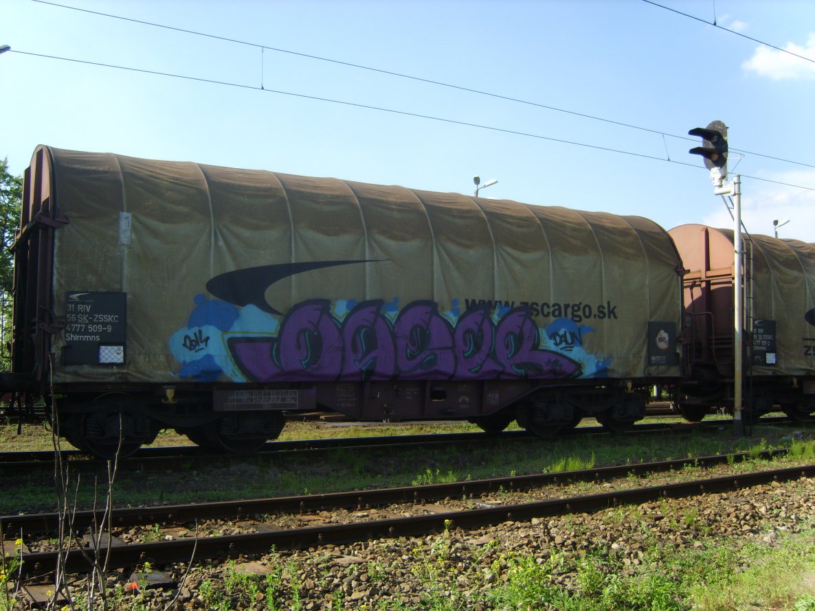 Graffiti Train - Photo by Aver - DASER, AC (2014)