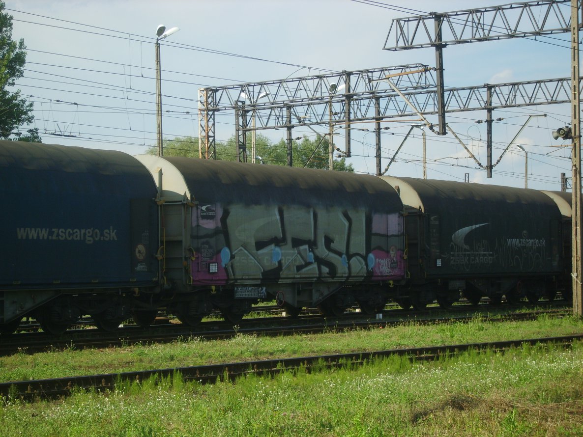 Graffiti Train - Photo by Aver - FES