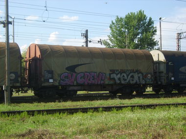 Graffiti Train - Photo by Aver - CARI, SV, CREW