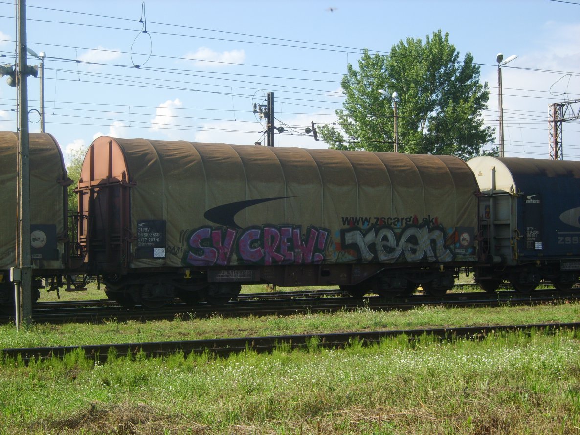 Graffiti Train - Photo by Aver - CARI, SV, CREW