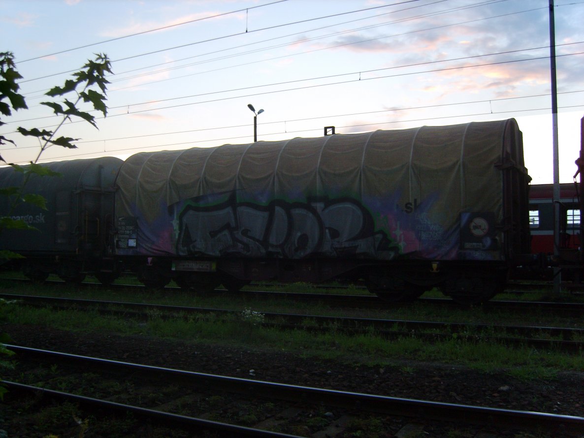 Graffiti Train - Photo by Aver - FSIOR