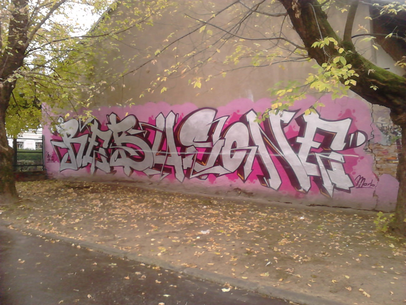 Graffiti Wall - Photo by Aver