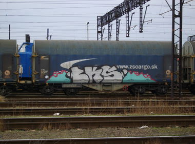 Graffiti Train - Photo by Aver - BKS (2014)