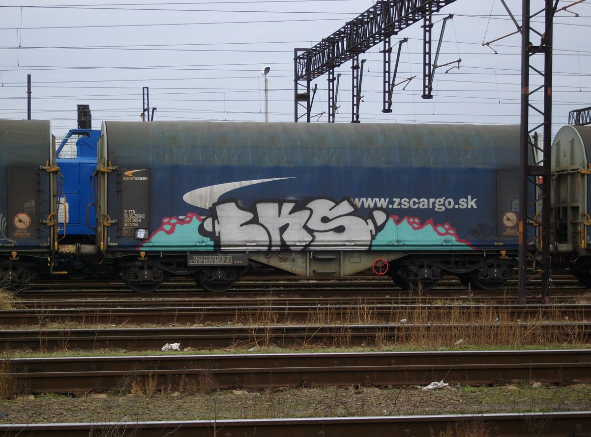 Graffiti Train - Photo by Aver - BKS (2014)