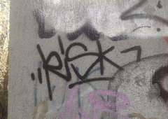 Photo #250239 by ti