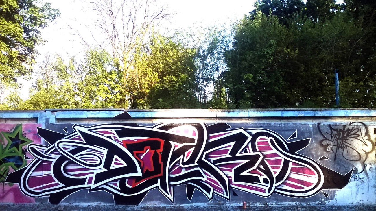 Graffiti Wall - Photo by AwsDoter - doter, aws, crew (2013)