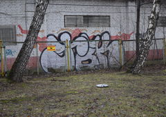 Photo #181015 by haiope