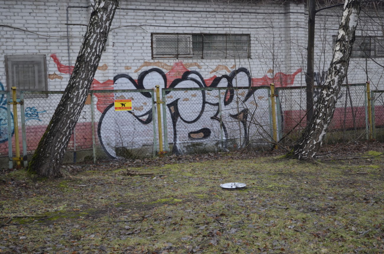 Graffiti Wall - Photo by B3ncon3 - Benc, Gane (2016)