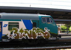 Photo #11885 by neicky