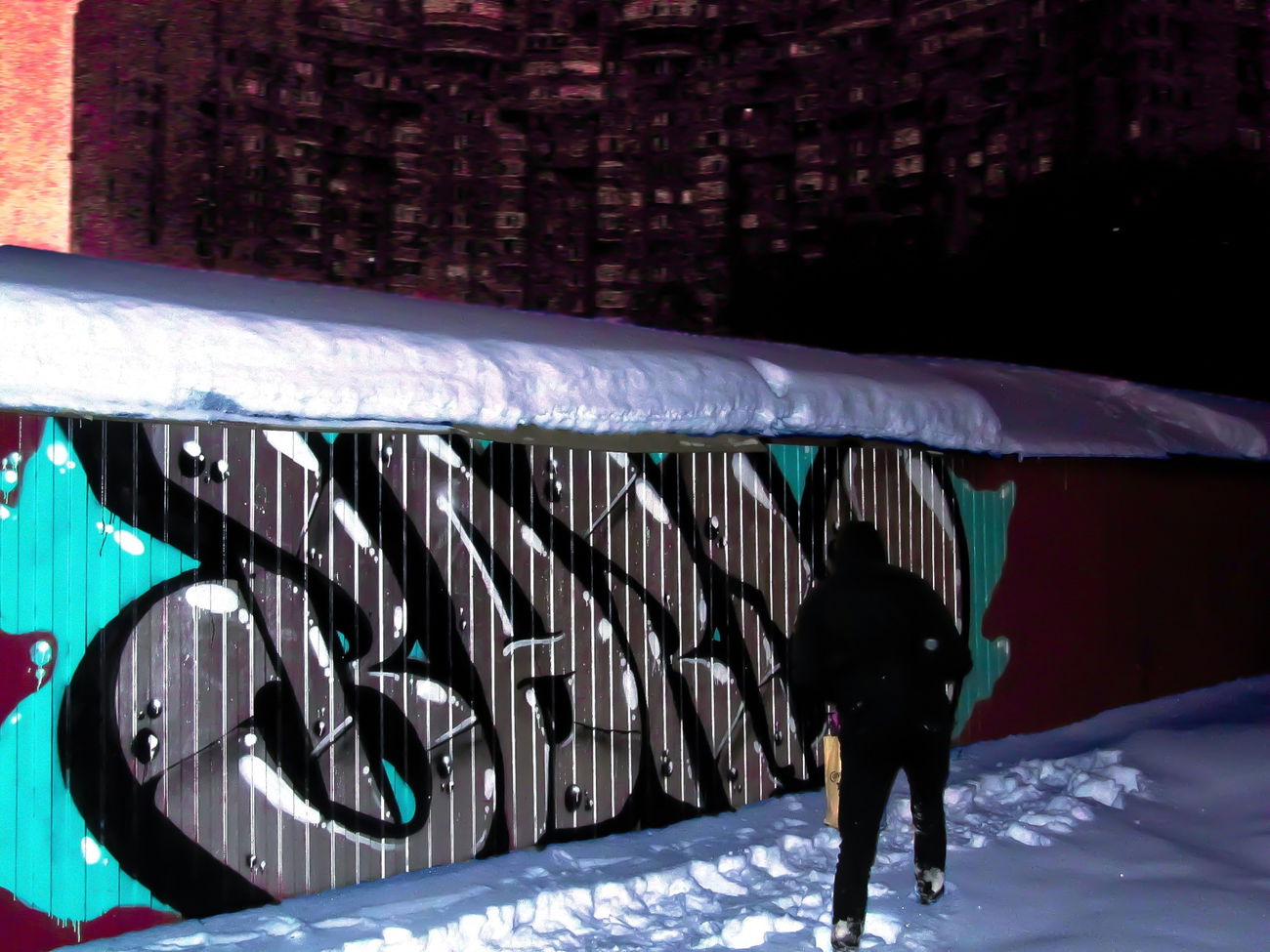 Graffiti Bombing - Photo by BARDO (2019)