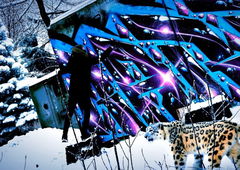 Graffiti Bombing - Photo by BARDO - bardo, graffiti, bardo (2019)