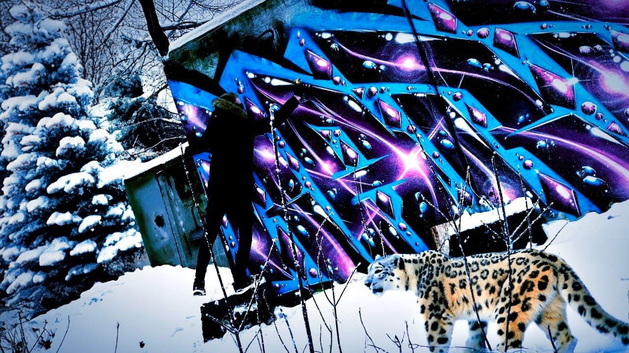 Graffiti Bombing - Photo by BARDO - bardo, graffiti, bardo (2019)