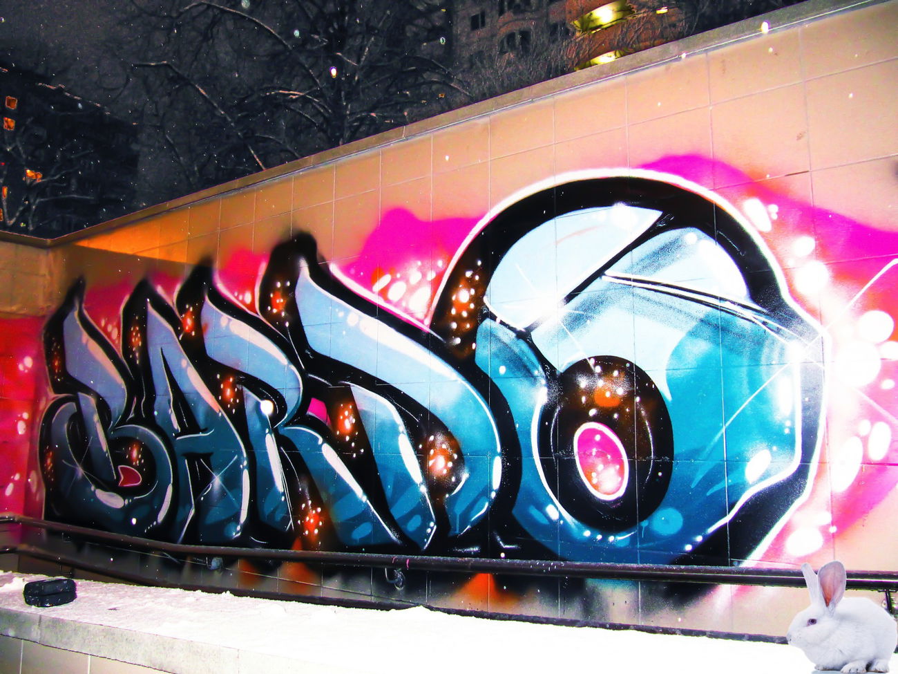 Graffiti Bombing - Photo by BARDO (2015)