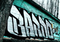 Graffiti Wall - Photo by BARDO