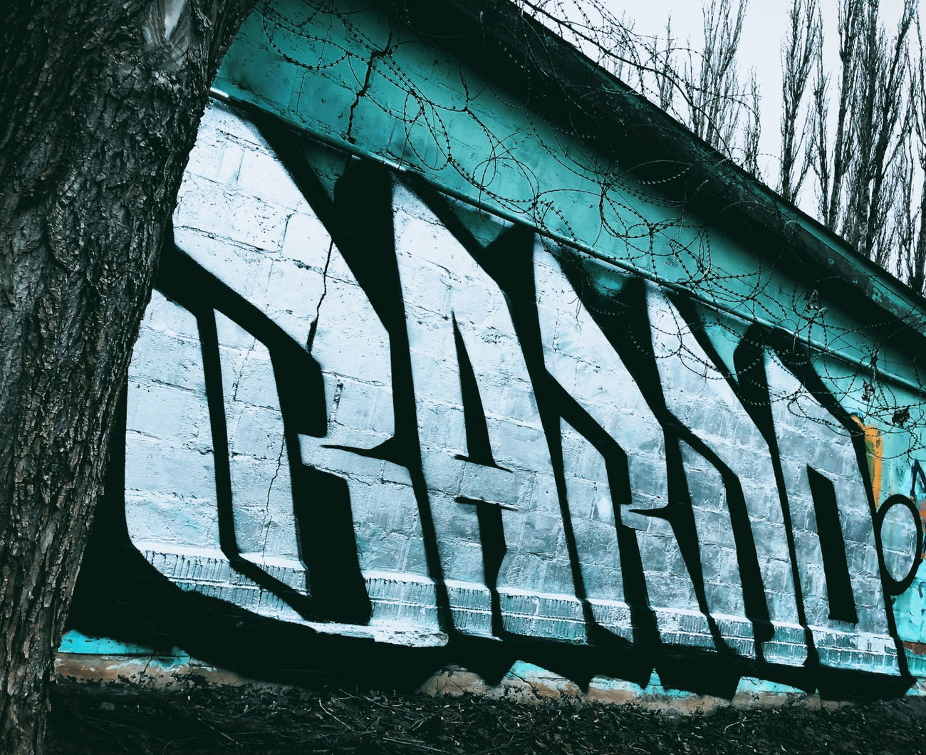 Graffiti Wall - Photo by BARDO