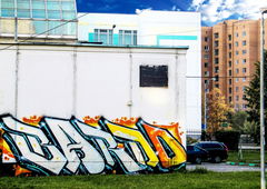 Graffiti Bombing - Photo by BARDO