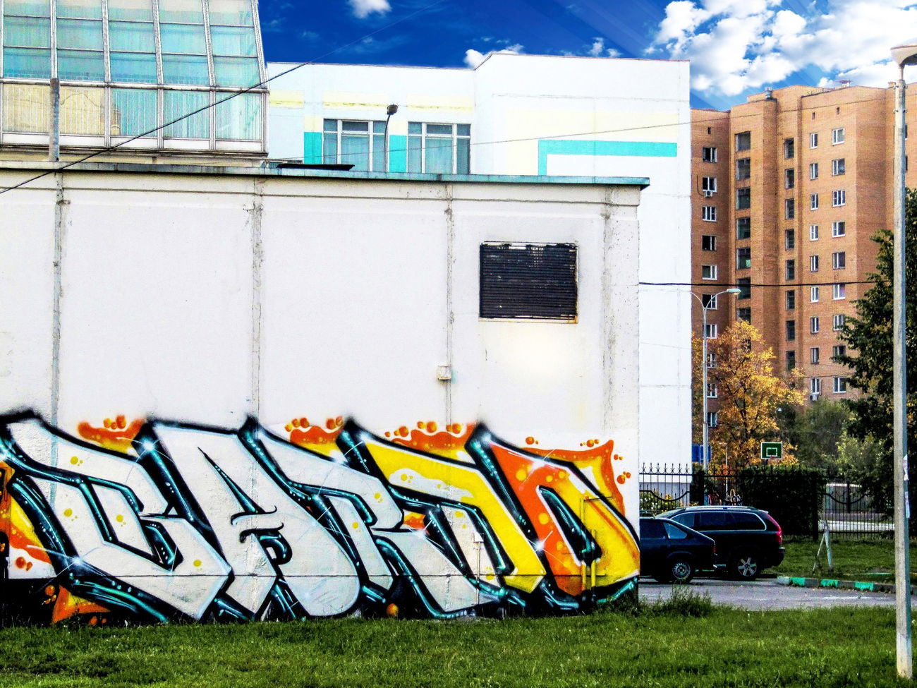Graffiti Bombing - Photo by BARDO