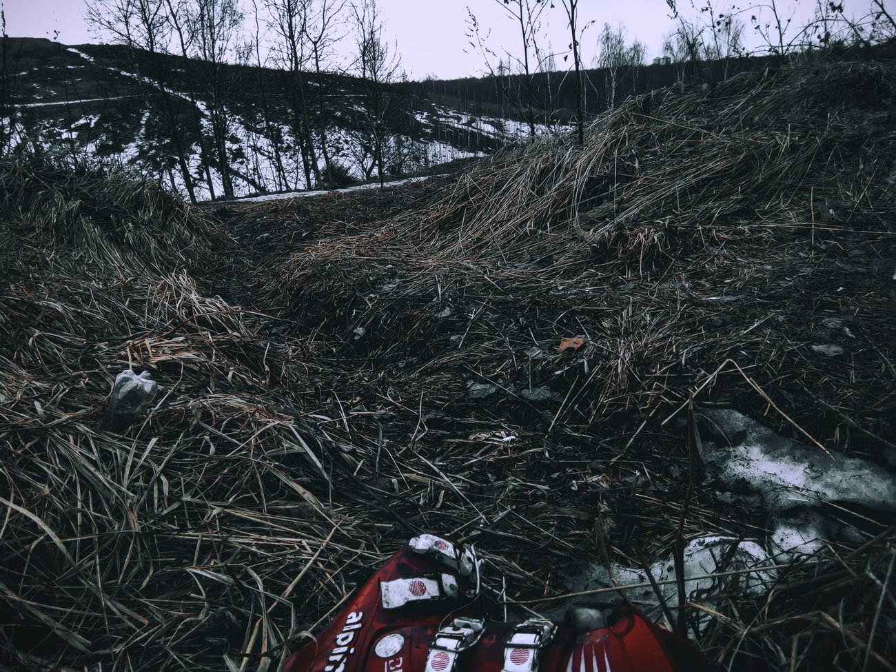 Graffiti Wall - Photo by BARDO