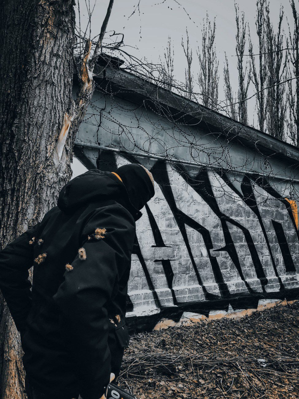 Graffiti Wall - Photo by BARDO