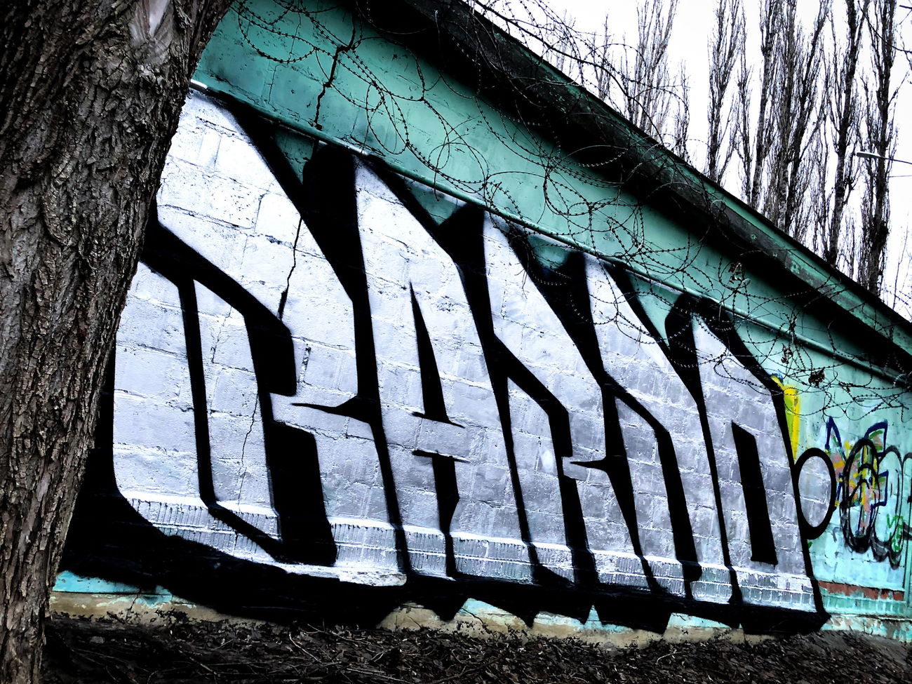 Graffiti Wall - Photo by BARDO