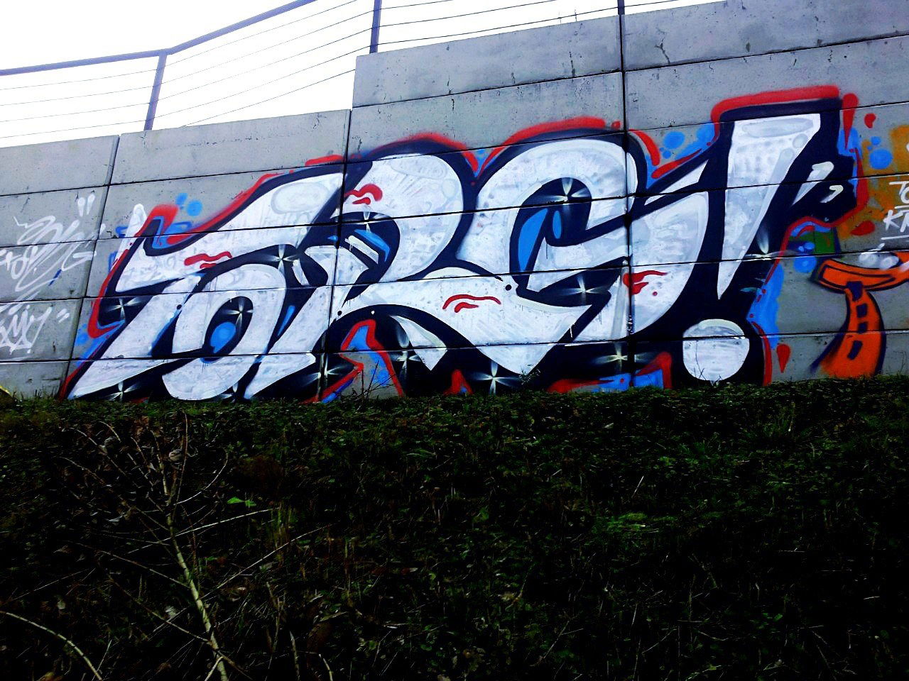 Graffiti Bombing - Photo by BARDO (2013)