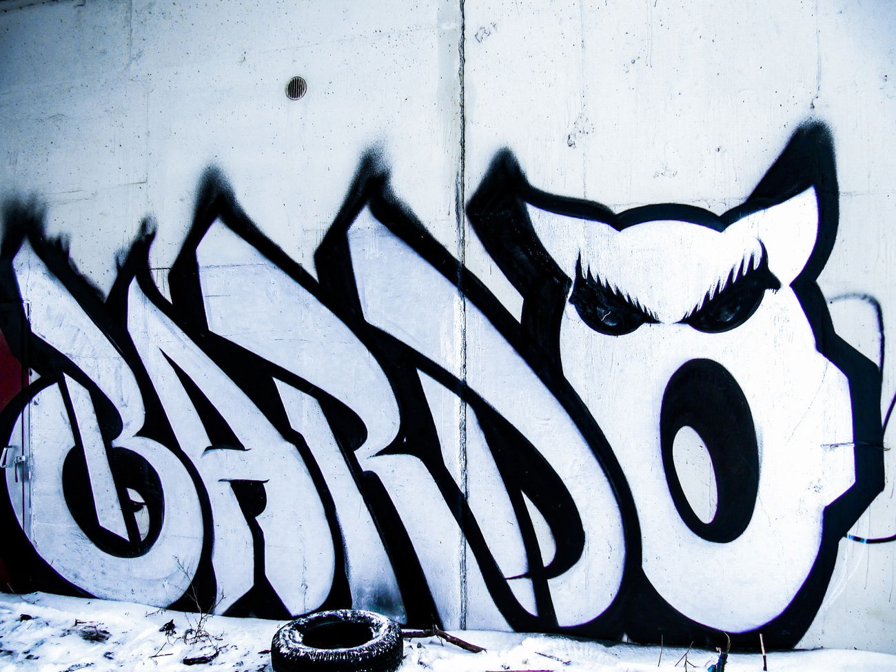 Graffiti Wall - Photo by BARDO