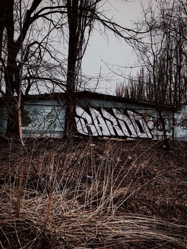 Graffiti Wall - Photo by BARDO