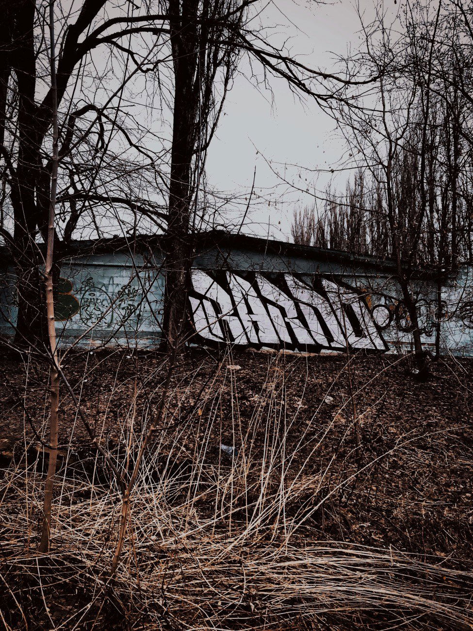 Graffiti Wall - Photo by BARDO